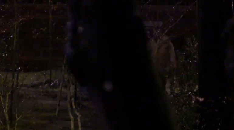 3e7e13d2d6bd28447b87a5347097548d.gif