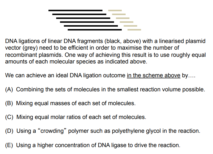 Solved DNA ligations of linear DNA fragments (black, above) | Chegg.com