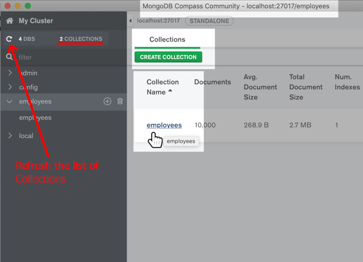 Screenshot of the MongoDB Compass GUI application opening a collection