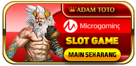 Microgaming Slot Online