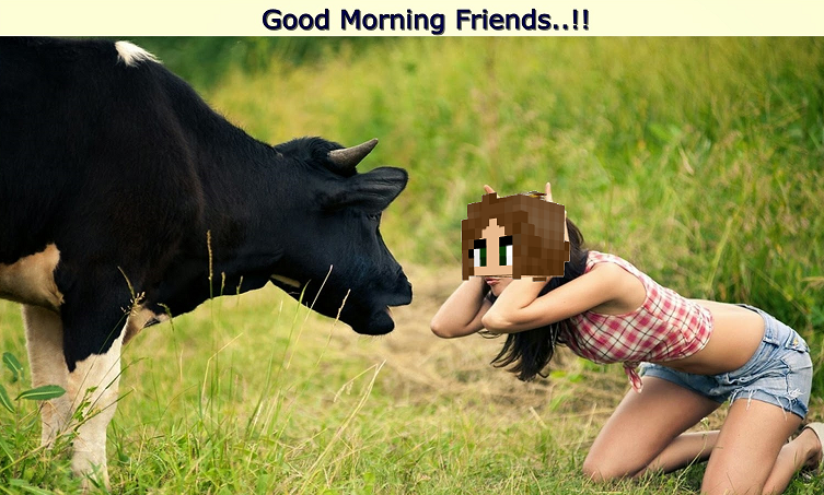 3ee93335b1d87092ff0dcd73049626ad.png