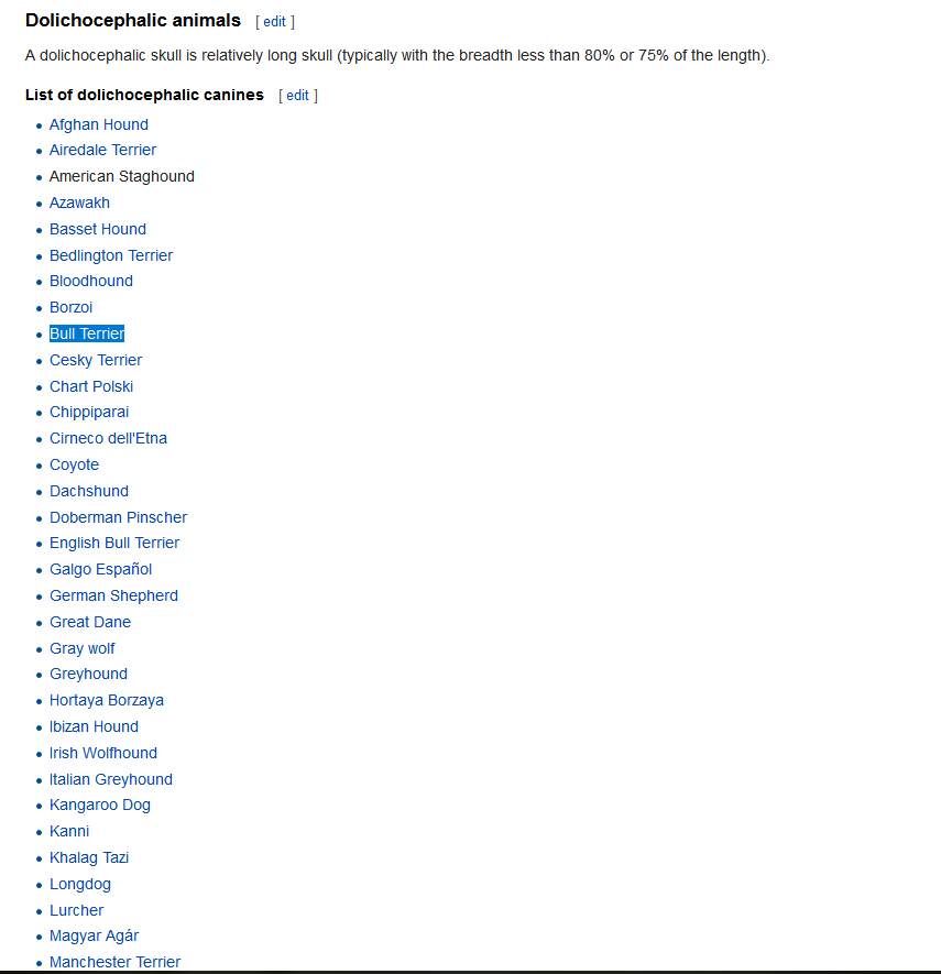 list of snub nosed dogs