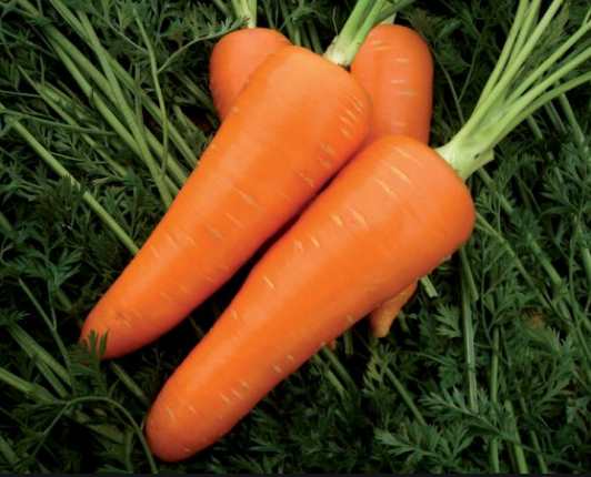 remedios zanahoria
