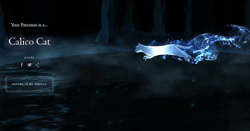 3ff84bd853030927411ac8d17f42d266.png