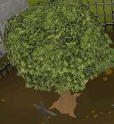 Skilling Guide: Woodcutting 401785d7d408ad7eaf38b111971287b8