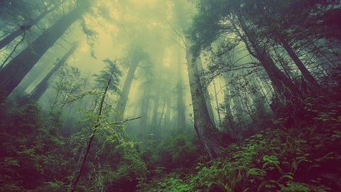 [Image: 402d45f5d9f718d41b285eadbb1efdfa.jpg]