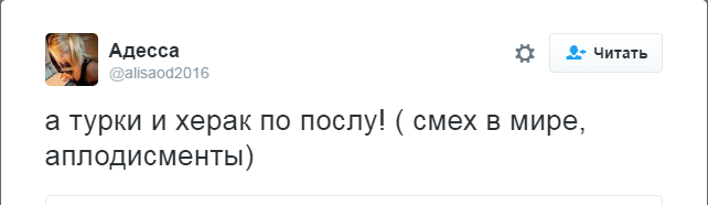 МИД РФ квалифицирует убийство посла в Турции как теракт, - Захарова - Цензор.НЕТ 6401