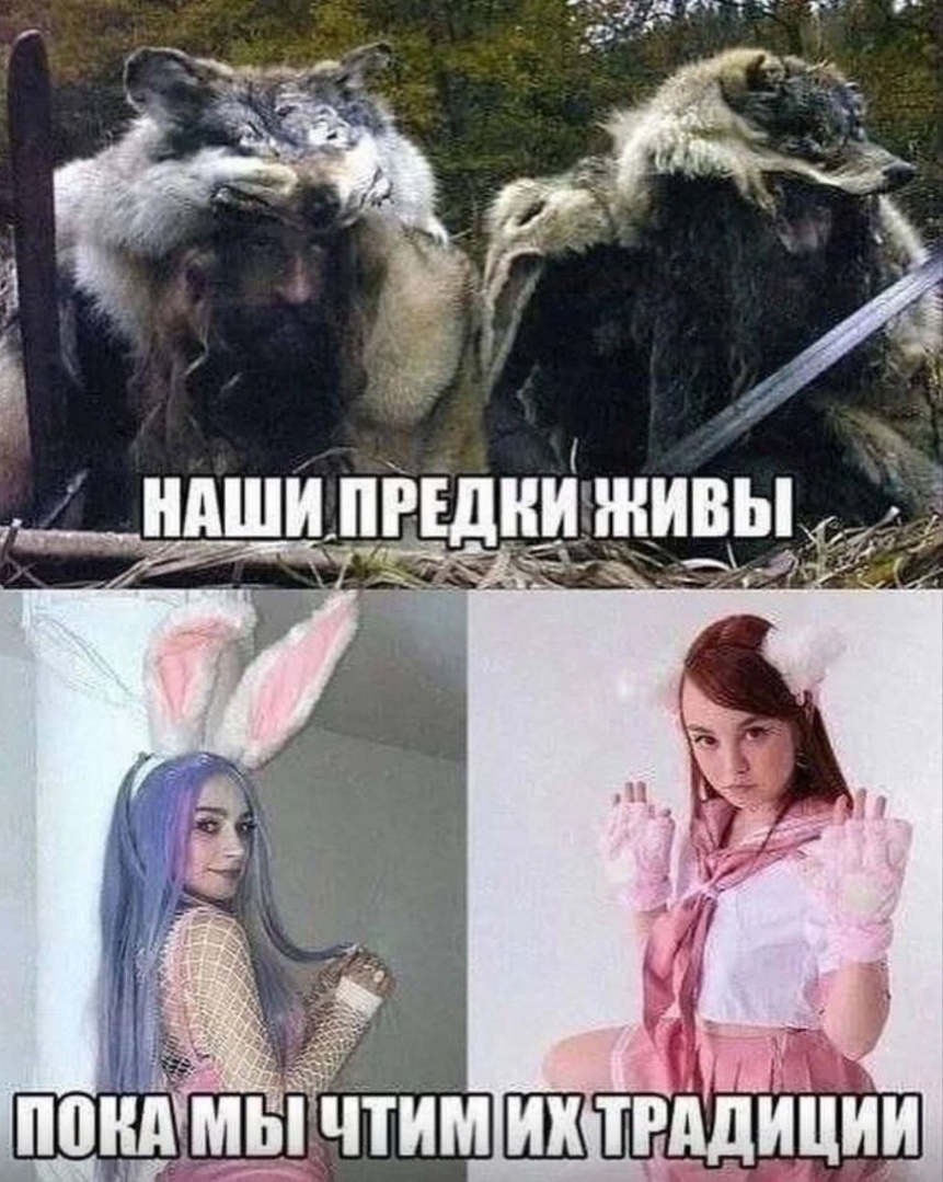 40825160a2d5ba34f946ad04a4f4cd46.jpg