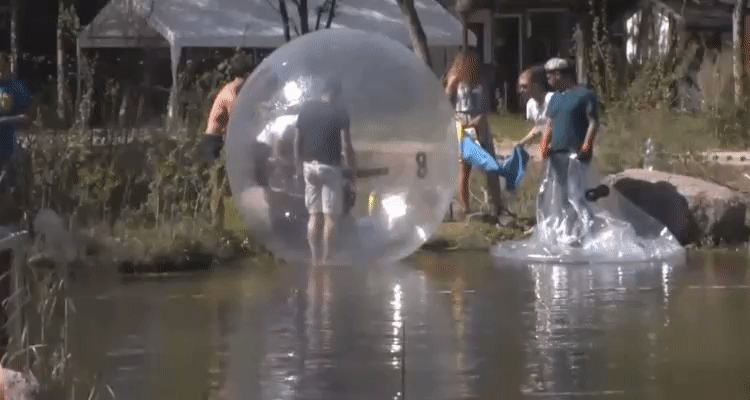 417397a1195ba2503b679756182b8e7a.gif