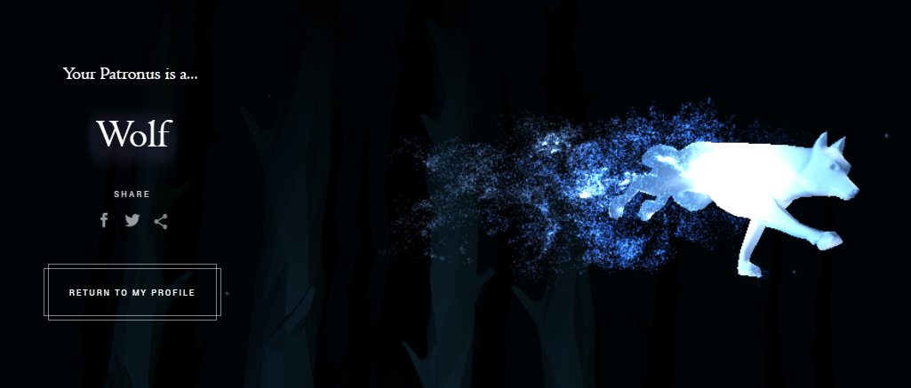 41c1b8693cca2aa3e25765681d41f3ae.png