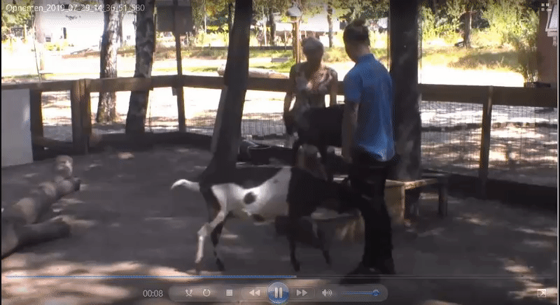 4241cf46895890a9e4172f51ba26b89e.gif