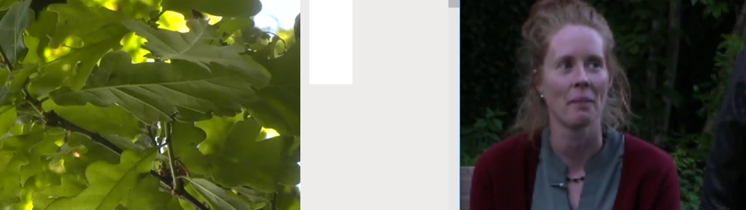 42df5e577ed1984ee82181ffa4c238f5.png