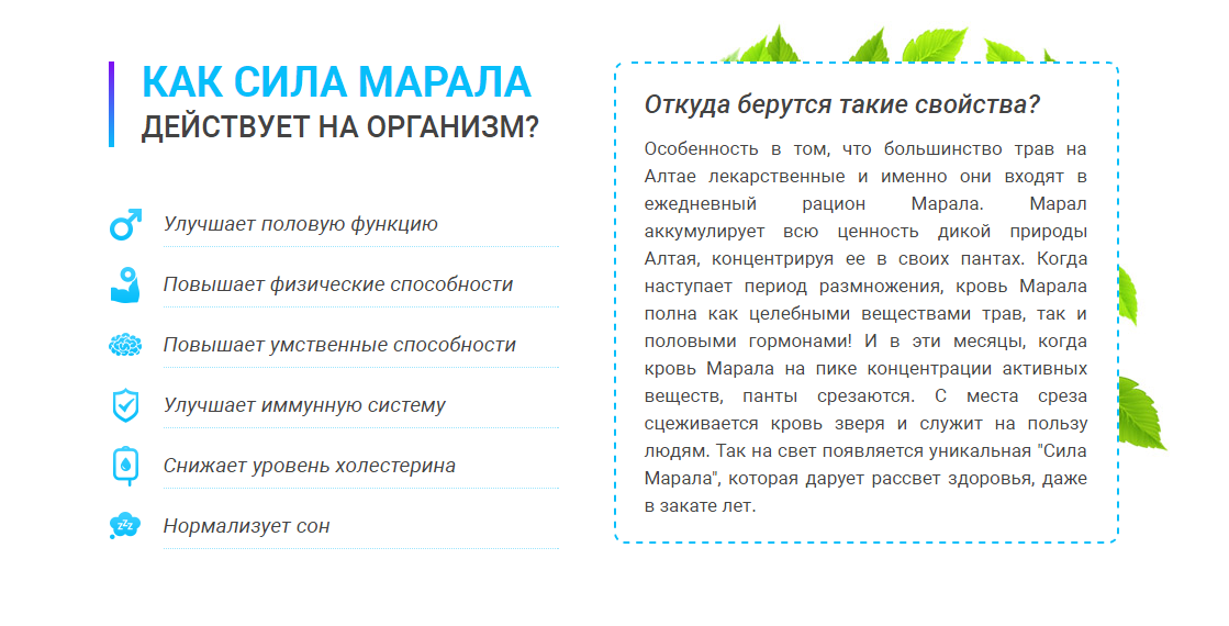 Препарат для потенции сила марала. Сила марала инструкция по применению цена. Сила марала кто производитель.