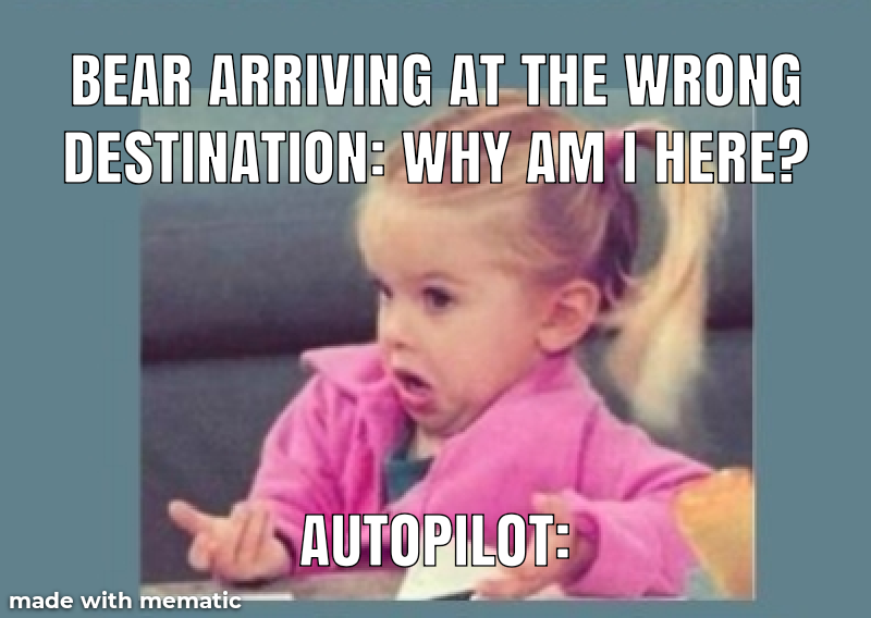 43320111db36800b77ff1b7ec04bff7a.png
