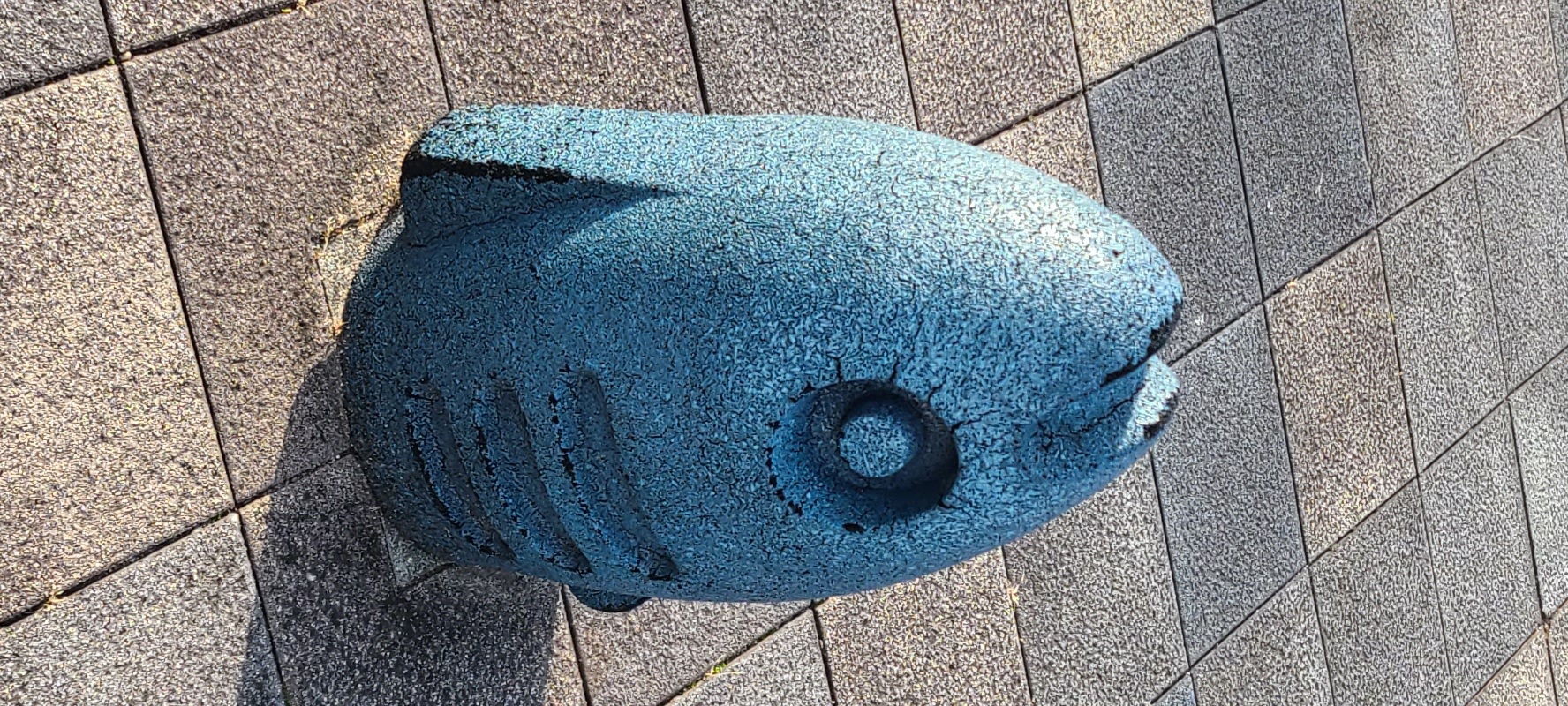 Profile Banner