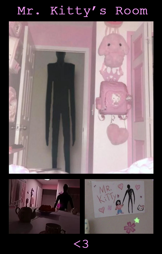 Mr Kitty's room
