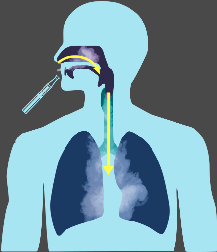 How to inhale your vapor