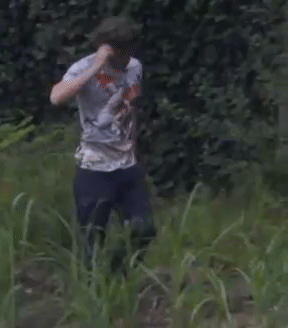 46f17890e3450473ad00dcbaff3a5860.gif