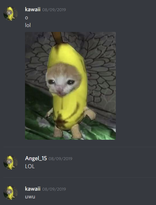 banana cat 🍌🐈 | happy birthday kawaii 💜💜💜💜 Minecraft Skin