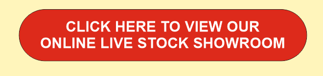Image Text