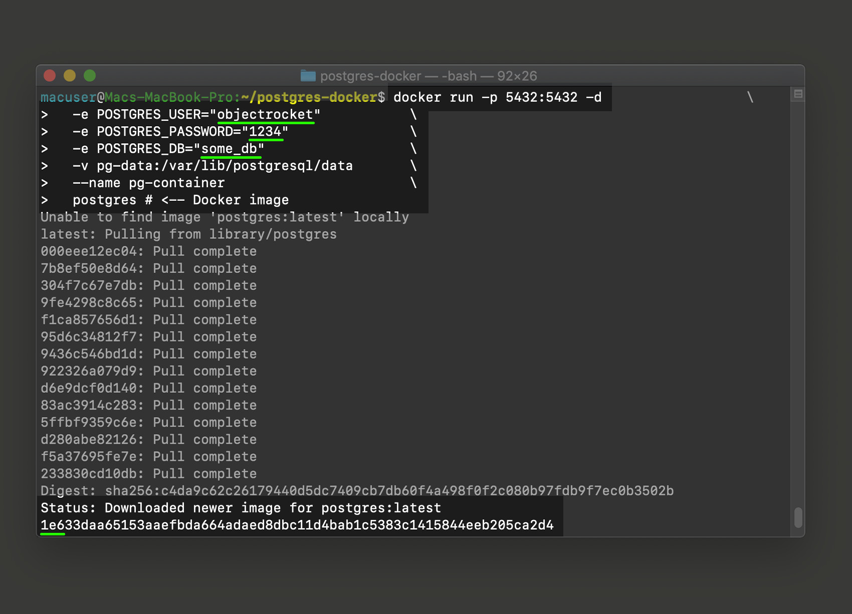 docker run command in a UNIX terminal to pull and start Postgres container from image