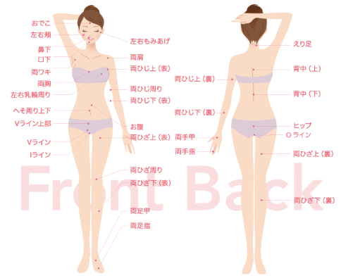 シースリーの脱毛範囲画像 シースリーの脱毛範囲画像