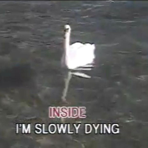 4b3e4a8831d7755fbbc2c6f6870650a4.png