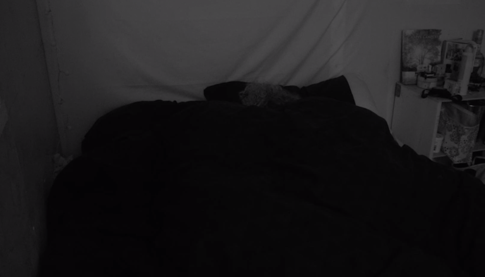 4c3da71d9d46210077c5b3cbe840c472.png