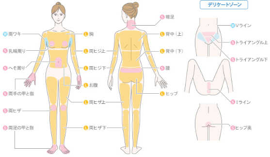 ミュゼプラチナムの脱毛範囲画像 ミュゼプラチナムの脱毛範囲画像