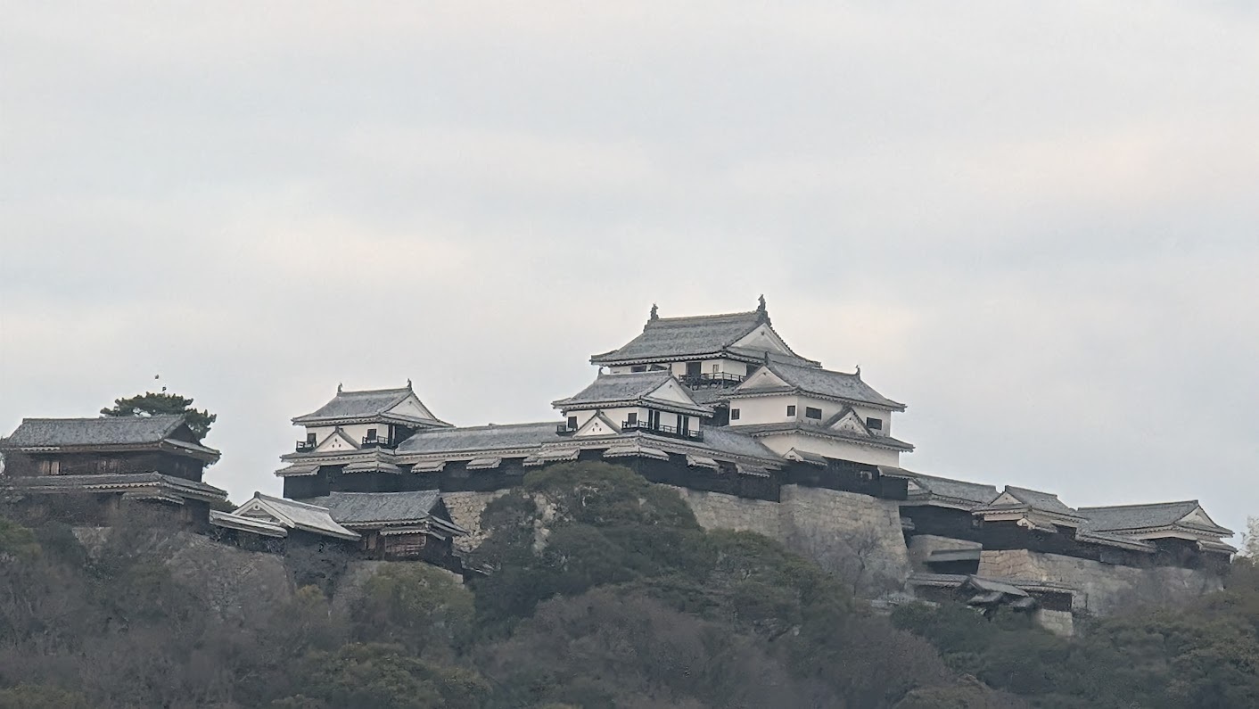 部屋の窓から見えるライトアップされた松山城