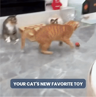 Gato jugando con juguete
