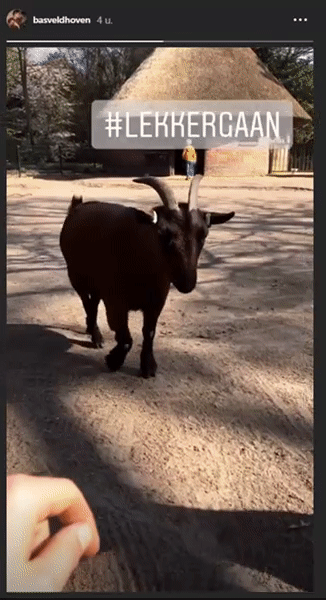 50cba7ea36971259e68a5eadcee042df.gif