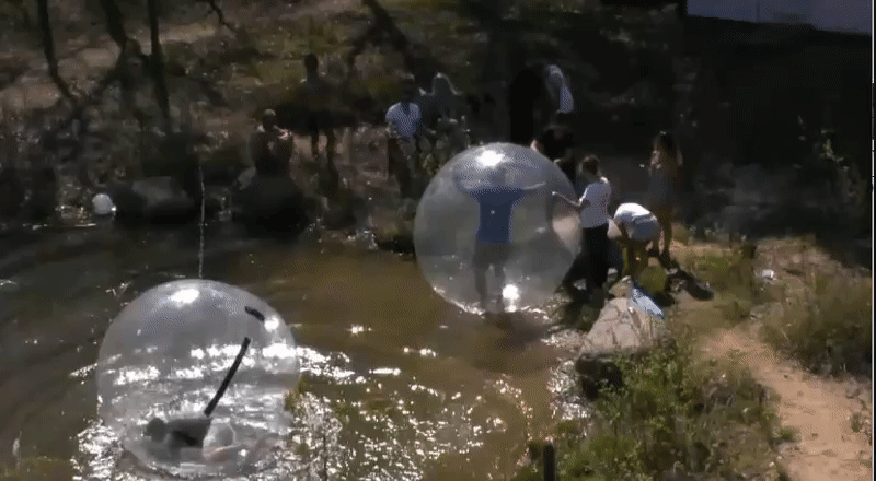 5141ef3e6533eb1f4fffcc67b4c2f9b9.gif