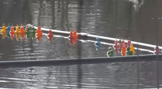 517a656e2cc60d9e1d74a9fafa9ed9ed.gif