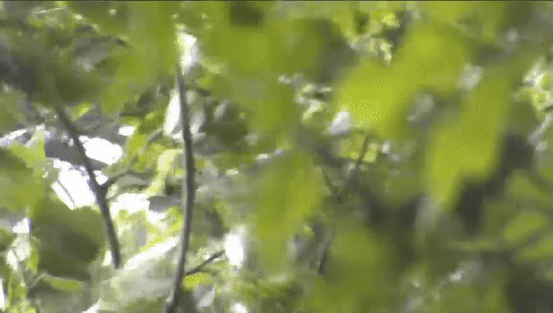 529a620e754f763d49feaed57c486468.gif