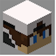 53639447f1d7a948fb690dee8c66e810.png