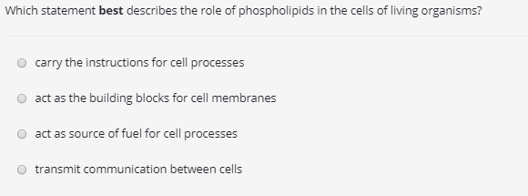 The Role Of Phospholipids In Cell Membrane لم يسبق له مثيل الصور