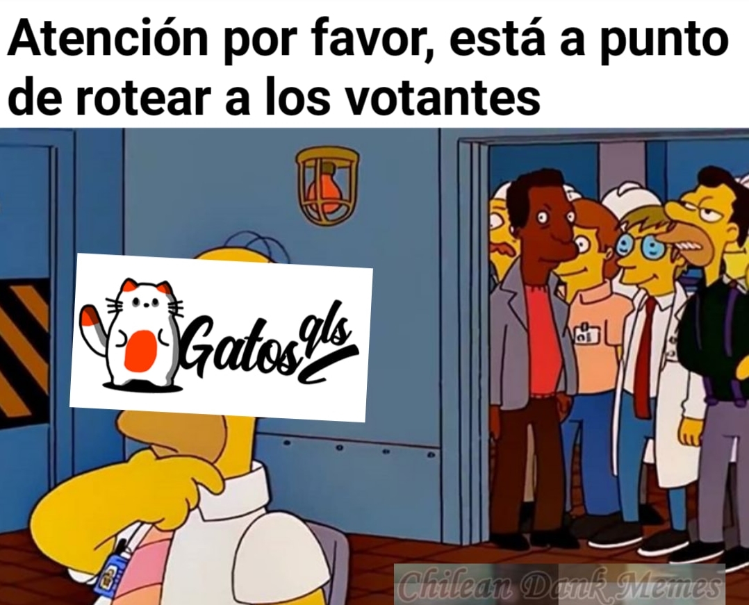 53a28eded007ffa915783389ef311319.jpg