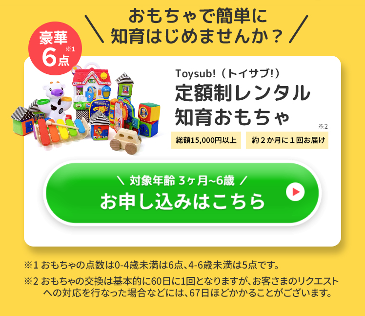 おもちゃで簡単に知育はじめませんか？ 豪華6点 Toysub!(トイサブ!) 定額制レンタル知育おもちゃ 総額15,000円以上 約2か月に1回お届け