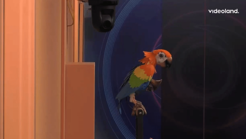 53ee15911d5d14c0e3f4ff881dab5104.gif
