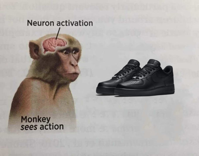 555044021308f93de002fdc9827ea81c.jpg