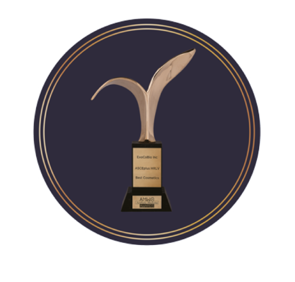 Golden award trophy with a curved, wing-like design on a black and gold background.