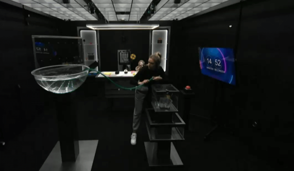 559b932a852feab14a05120a326ce25c.gif
