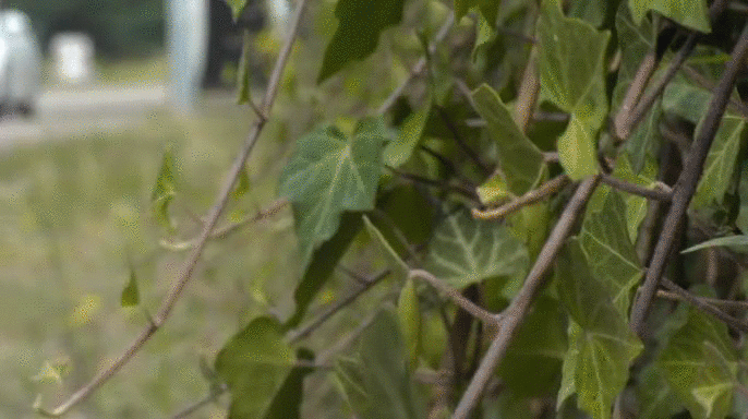 55c936d801860996da2aec7decea3a45.gif