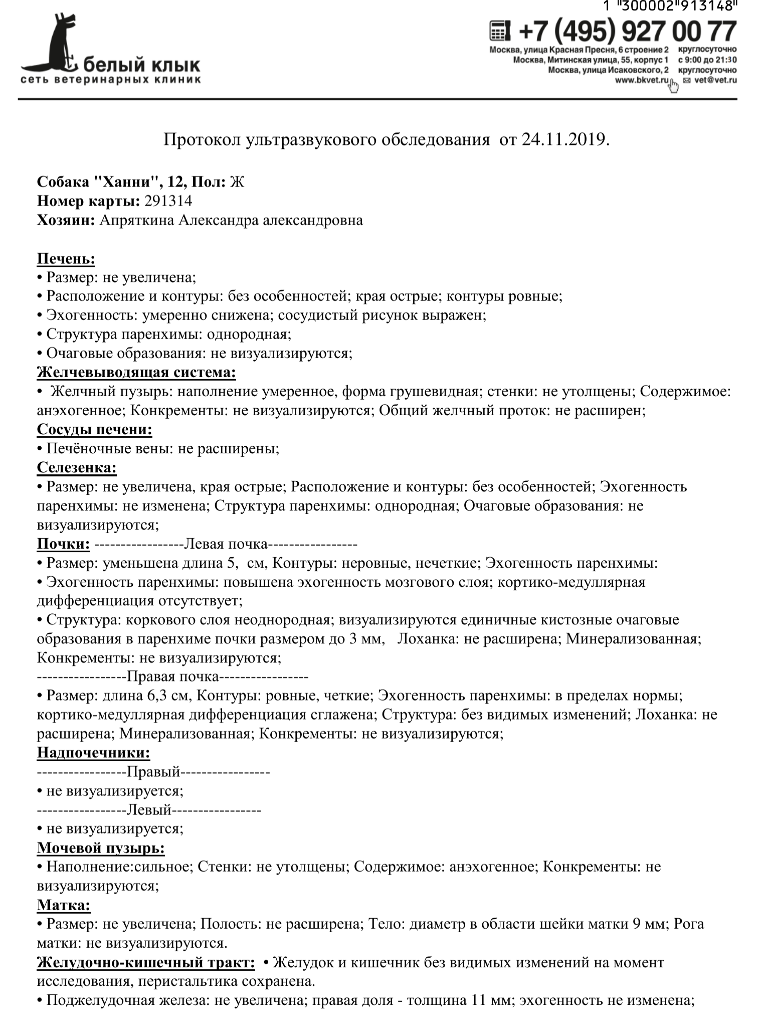 Сладким девочкам Лизе и Ханни навсегда 11 и 13 лет... В теме минус 244 тыс.  руб - Страница 16 - Мемориал - Лабрадор.ру собаки - ретриверы