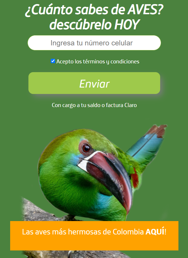 [2-click] CO | Aventurate Aves (Claro)  