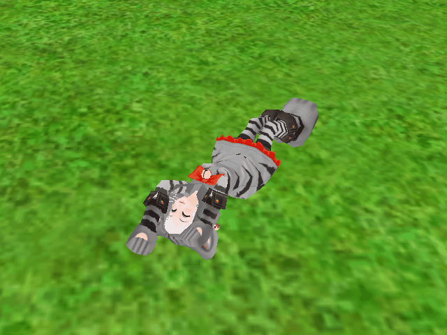 Image from Gyazo