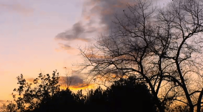 58b80ce0c7af9b7383b0a767ec3765cb.gif