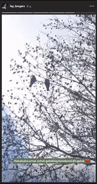 590e45619313f0b5232ba7fc75bc15f1.gif