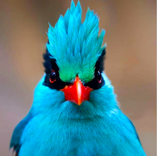 598cb43e7f14d25bb97a065b9bcdd96f.png